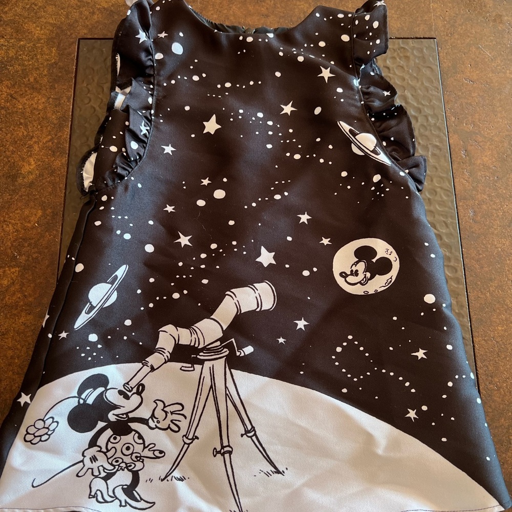 Pippa and Julie 3t Disney dress.